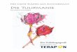 Nie mehr Tulpen aus Amsterdam? Die Tulipmanieterapon.de/wp-content/uploads/2019/03/tulipmanie.pdfDie Tulipmanie | 3 Im Jahre 1581 trennten sich die bis dato Habsburgi-schen Niederlande