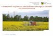 Konzept und Ergebnisse des Bodenmonitorings in Sachsen · BDF-Programm: Konzept Kategorien der BDF Bodenlandschaften As in Oberboden . 5 | 28.09.2018 | Barth, Natalja Datenerhebung