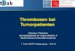 Thrombosen bei Tumorpatienten - AHOP · Verlängerte Prophylaxe (4 Wochen ) nach großer Laparotomie /Abdomen Chirurgie bei hohem VTE Risiko und niedrigem Blutungsrisiko [2B]. Stützstrümpfe