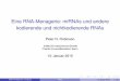 Eine RNA-Menagerie: miRNAs und andere kodierende und ...compbio.charite.de/tl_files/groupmembers/robinson/09rna.pdf · Eine RNA-Menagerie Zahlreiche Klassen von RNA Es folgt zunächst
