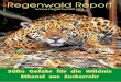 Regenwald Report - OPUS-Datenbankepub.sub.uni-hamburg.de/epub/volltexte/2014/26415/pdf/rdr_report0702.pdf · Regenwald Report 2/2007 Wer ein Regenwald Report-Jahres-abonnement verschenken