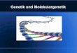 Genetik und Molekulargenetik - Gesamtschule Borbeckge-borbeck.de/joomla/wiki/mediawiki/images/5/56/Molekulargenetik... · Molekulargenetische Erkenntnis Je näher die Verwandtschaft,