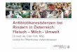 Antibiotikaresistenzen bei Rindern in Österreich: Fleisch ... · gegenüber Benzylpenicillin resistent n Sehr niedrige (3%) Resistenz bei Streptococci ggü. Benzylpenicillin n Relativ