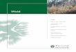 Wald - umwelt.steiermark.at · Inhalt Wald in der Steiermark Schutzwald in der Steiermark Schadeinflüsse auf den Wald Schadstoffbelastung der Wälder Verjüngung der Baumartenvielfalt