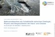 Frank Kösters und das MOSSCO - Team Makrozoobenthos als ... 2017... · Makrozoobenthos als Schaltstelle zwischen Geologie, Physik und Biogeochemie der Nord- und Ostsee MOSSCO Synthese