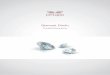 Diamant Direkt - Investitionen in Diamantenpretagus.de/wp-content/downloads/direktinvestment/2016_Produktinfo... · cal Institute of America Inc.), IGI (International Gemological