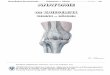 Grundlagen der Anatomie Kniegelenk Bänder O. Sievers … fileGrundlagen der Anatomie Kniegelenk –Bänder O. Sievers-2- Articulatio genu = Kniegelenk – Femoro-Tibial-Gelenk Art