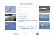Elektroflug ausschließlich mit regenerativer Energie · PDF fileKonzept CO2 neutraler Flugplatz am Beispiel LSV Friesener Warte reiner Solarstrom Energiezentrale mit Pufferakku 36