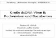 Große dsDNA-Viren II: Pockenviren und Baculoviren · Klassifikation von Viren nach der Art der mRNA-Synthese (Baltimore-Klassifikation) Gruppe I: dsDNA. Genomform aller Lebewesen