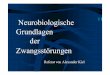 Neurobiologische Grundlagen der Zwangsstörungen · Pathophysiology of obsessive-compulsive disorder: A necessary link between phenomenology, neuropsychology, imagery and physiology