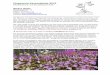 Pinguicula-Verkaufsliste 2019 - Karnivoren in Kulturkarnivoren-in-kultur.de/Angebote/VKListe.pdf · Pinguicula – Mexikanische Arten Das Fettkraut besticht mit seinen veilchenartigen