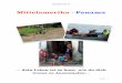 Mittelamerika - Panama. Reisebericht Panama.pdf · Gesagt getan und schon waren wir wieder Zuhause eingezogen. Nachdem wir noch Lebensmittel gekauft hatten, fuhren wir weiter und