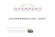 Jahresbericht 2017 - ananas.at · 4 Fachliche Ausrichtung der Ananas Familien-beratung GmbH Die Ananas Familienberatung GmbH arbeitet auf Basis eines psychoanalytisch-pädagogischen