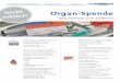 Leicht erklärt Ausgabe Nummer 107. Organ-Spende · Organ-Spende • Was könnte sich ändern? Wer entscheidet? In Deutschland darf man selbst entscheiden, ob man Organ-Spender werden