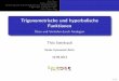 Trigonometrische und hyperbolische Funktionen Üben und ... · Sinus hyperbolicus und Cosinus hyperbolicus. 4. Folgerungen und Eigenschaften Additionstheoreme Ableitungen Graphen