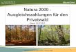 Natura 2000 - Ausgleichszahlungen für den Privatwald Forstwirtschaft... · • Jeder Bindung ist ein Ausgleichszahlungs-Betrag zugeordnet (siehe folgende Folien) • Für jeden Waldblock