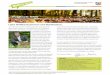Liebe Waldbesitzerinnen und Waldbesitzer, · Seite 3 Waldblatt NRW - Herbst 2016 Regionalforstamt Rhein-Sieg-Erft • In NRW gibt es mehr als 19 Mio. m³ Totholz. Totholz steckt voller