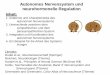 Autonomes Nervensystem und neurohormonelle Regulation · Autonomes Integrationsnetzwerk der internen, homöostatischen Systeme (z.B. Anpassung des Herzschlagrhythmus, koordinierte