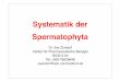 Systematik der Spermatophyta - user.uni-frankfurt.dedingerma/Podcast/SystematikSS11_1.pdf · Systematik der Spermatophyta Dr. Ilse Zündorf Institut für Pharmazeutische Biologie