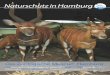 NaturschutzinHamburg - hamburg.nabu.de · 4 NATUR NaturschutzinHamburg4/10 „DerTitelderEuropäischenUmwelthaupt-stadt2011isteinegroßartigeMöglichkeit,um zuzeigen,welcheChancendasEngagementfür