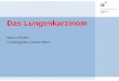 Marco Weber Krebsregister Kanton Bern · Das Lungenkarzinom 3. Diagnostik 3.2 Diagnostik Basisdiagnostik Anamnese, klinische Untersuchung Laboruntersuchungen Röntgen Thorax (p.a