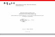 Modulhandbuch Masterstudiengang - mh-hannover.de · Surveillance, Gesundheitsberichtserstattung und Forschung) anhand von Methoden, Theorien und Entscheidungsfindungsmodellen systematisch