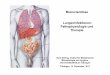 Mukoviszidose Lungeninfektionen: Pathophysiologie und Therapie · Gerd Döring, Institut für Medizinische Mikrobiologie and Hygiene, Universitätsklinikum Tübingen Tübingen, 14