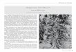 Journal 50 real Belichter - shiatsu-gsd.de · Akupunktur und Moxa, was die Tastdiagnose (setsushin oder sesshin) - eine der vier diagnostischen Methoden in der chinesi- schen Medizin