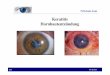 Keratitis Hornhautentzündungsdeceaed5a9bf4e47.jimcontent.com/download/version/1389351422/module/... · Ablatio Retinae! gibb kim bichsel Pathologie Auge !! • Verletzungen des Auges