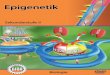 Inhalt und Einsatz im Unterricht - gida.de · 4 DVD-Inhalt – Strukturdiagramm Genom, Epigenom & Proteom Hauptmenü Gen-Inaktivierung durch DNA-Methylierung Gen-Aktivierung durch