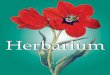 Herbarium - download.e-bookshelf.de · 5 MS Herbier 4C.qxp 1/31/2008 3:05 PM Page 5 1561: Geburt von Basilius Besler am 13. Februar in Nürnberg als Sohn des Michael Besler. 1586: