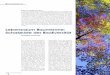 Lebensraum Baumkrone: Schatzkiste der Biodiversität · Die moderne Biodiversitätsfor-schung hat auf der Erde drei Le-bensräume als herausragende »weiße Flecken« auf der Karte