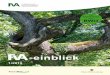 -einblick - Forstliche Versuchs- und Forschungsanstalt BW · 6 FVA-einblick 1/2015 Der Wald in Baden-Württemberg und seine Entwicklung – Ergebnisse der BWI3 von Gerald Kändler