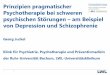Prinzipien pragmatischer Psychotherapie bei ... - ptk-nrw.de · entwickeln und kognitiv durchdringen und sich auf das neue, positive Gefühl einlassen Schritt 3: Rein mentale Ausführung