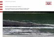 Artensteckbrief 2011 Europäische Sumpfschildkröte (Emys ... · Artensteckbrief Europäische Sumpfschildkröte PlanWerk 11/2011 2 1. Allgemeines Ursprünglich hielt man die Europäische