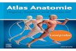 44503 Atlas Anatomie - shop.elsevier.de · Aller Anfang ist Anatomie Wer den Menschen verstehen will, muß ihn von Grund auf kennen. Viele Fragen zu Gesundheit und Krankheit, zu körperlichen