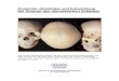 Anatomie, Histologie und Entwicklung der Suturen des ... · 4 Anatomie der Suturen und des Schädels Der Schädel wird in den Gesichtsschädel-Viscerocranium und den Gehirnschädel-