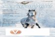 TGA Pferd 4-2017 A4 - tierarzt-nebe.de 4-2017.pdf · Die akute Gelenkerkrankung (Arthritis) kannbeieinernichtoptimalenodermangeln-den Behandlung schnell zu einer chronischen Gelenkerkrankung(Arthrose)führen