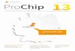 Chip 13 - initiative-deutsche-zahlungssysteme.de · INHALT //// 5 Ha loch Kassel 4 INHALT Initiative Deutsche Zahlungssysteme e.V. 6–7 Gemeinsam für den Chip im Alltag Zahlungssysteme