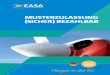 MUSTERZULASSUNG (SICHER) BEZAHLBAR - easa. · PDF fileHintergrundinformationen 2 Im Rahmen der EASA General Aviation Roadmap wird die Musterzulassung sowie Änderungen von Luftfahrzeugen