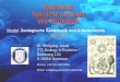 Vorlesung: Spezielle Zoologie WS 2018/2019 - trichoplax.detrichoplax.de/student-2018/Jakob-Lecture-3-Porifera-1.pdfBilateria (Triploblasten, höhere Tiere) Diploblasten Campbell 1997