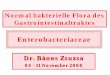 Normal bakterielle Flora des Gastrointestinaltraktessemmelweis.hu/mikrobiologia/files/2014/05/Entero1-2-3_N_AOK_2009.pdf · – Breitspektrum (per os) Antibiotika • Konsequenzen