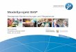 Modellprojekt BAP - vibss.de · Modellprojekt BAP Bewegende Alteneinrichtungen und Pflegedienste Kai Labinski Projektkoordinator BAP Köln, 02.12.2016