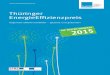 Thüringer EnergieEffizienzpreis - thega.de · folgte mit größtmöglicher Objektivität anhand der Kriterien Ener- gieeffizienzgrad, Wirtschaftlichkeit, Übertragbarkeit, Nachhaltigkeit