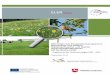 -Endbericht - nlwkn.niedersachsen.de · 3.4 Kooperationsprogramm Naturschutz, Teilbereich Dauergrünland, ergebnisorientiert (FM 411) – Maßnahmenbeschreibung, -umsetzung und Zielsetzung