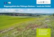 Steppengebiete des Thüringer Beckens – Inseln der Vielfaltapps.thueringen.de/de/publikationen/pic/pubdownload1617.pdf · bei Kursk zu sehen (11.6.2014, SP). perenne , in 32.000