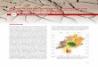 Aktualisierung des geologischen Kartenwerks von Hessen am ... · 154 Hessisches Landesamt für Naturschutz, Umwelt und Geologie – Jahresbericht 2018 Historie Das im mittelhessischen