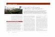 Dokument1 - Dickow Pumpendickow.info/images/dickow/pdf/publikationen/2008-06_digitalbusiness.pdf · lem dann, wenn man wie wir Unterla- solution & success Die Berke GmbH, München,