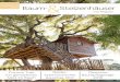 Ausgabe 12 2017 - baumhaus-magazin.de · Der Niederösterreichische Baumtag 2017 lädt am Freitag, dem 15. September, zu einer Fachtagung mit Rah- September, zu einer Fachtagung mit