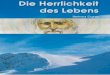 DIE HERRLICHKEIT DES LEBENS - liebevoll-wei.se · Artikel enthält und 1933 veröffentlicht wurde * “Briefe an die ersten Schüler“ – persönliche Korrespondenz von Peter Danov